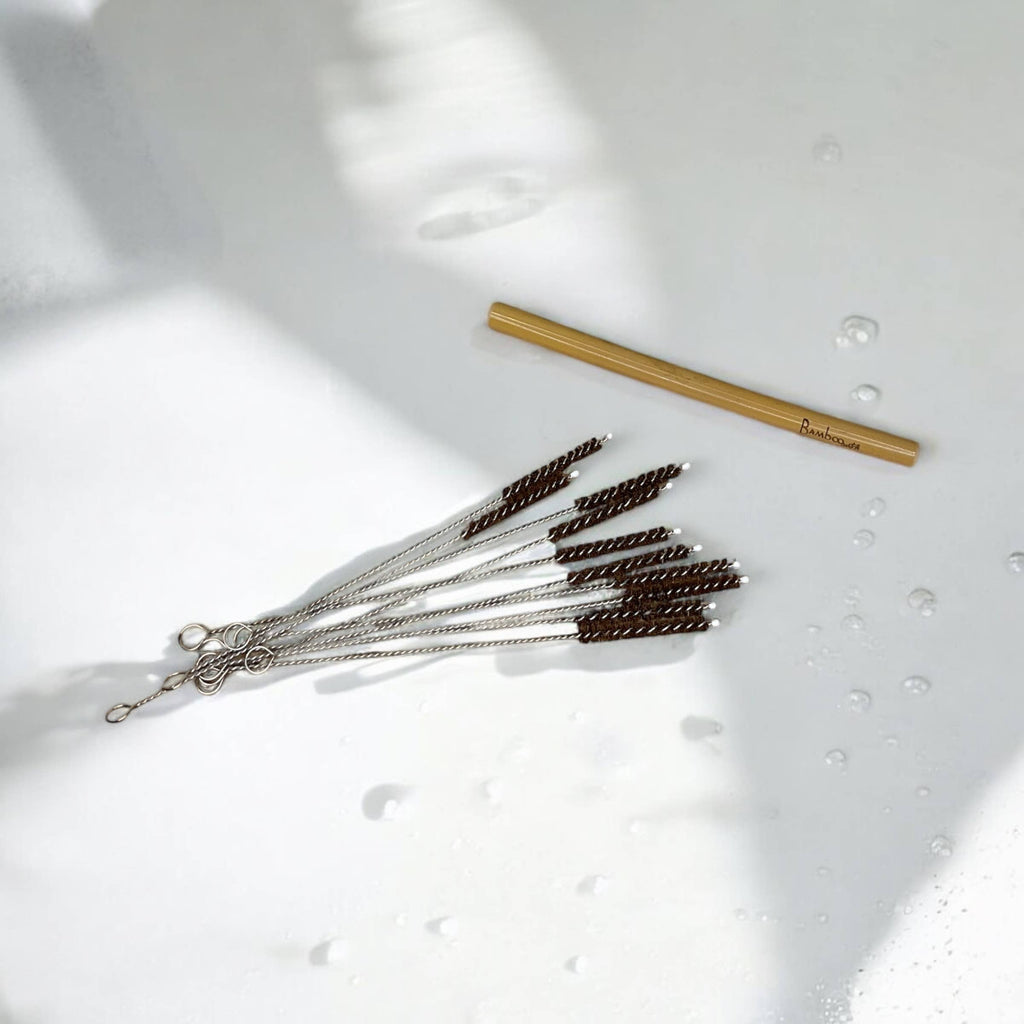 1x Coconut Fiber Plastic Free Straw Cleaner